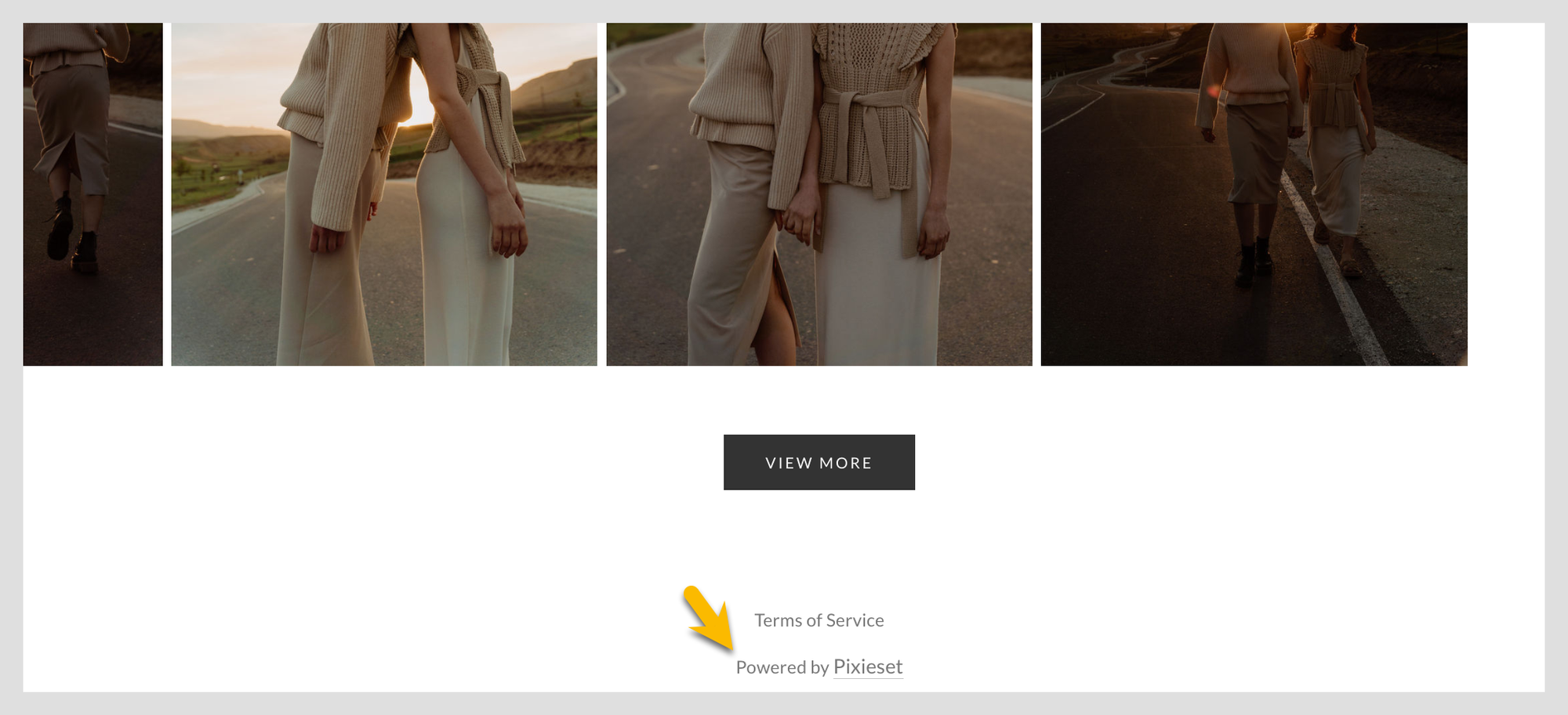 Logos and Branding 9.png