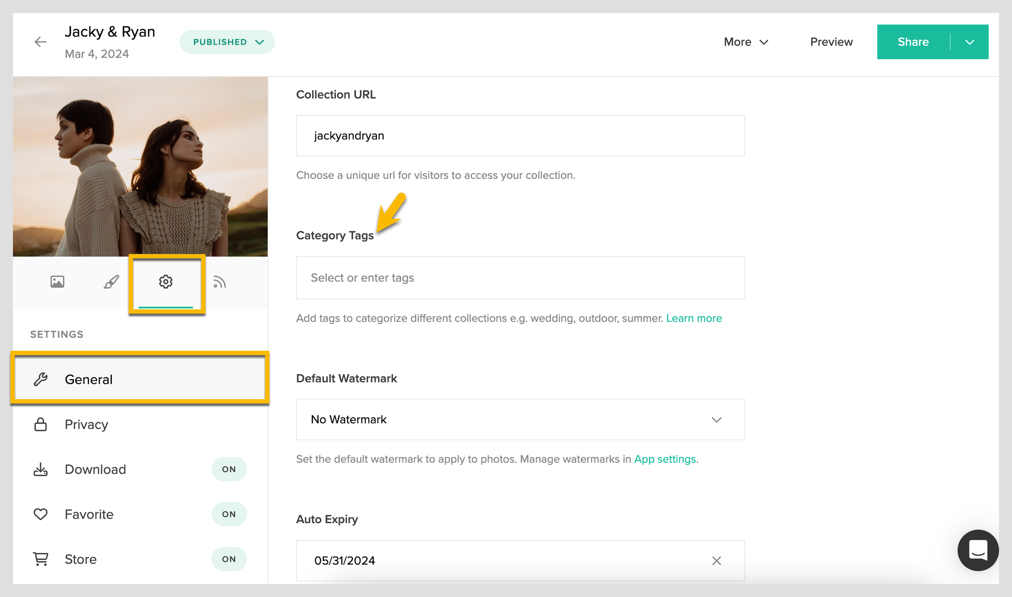 Organizing a Collection with Tags 2.png