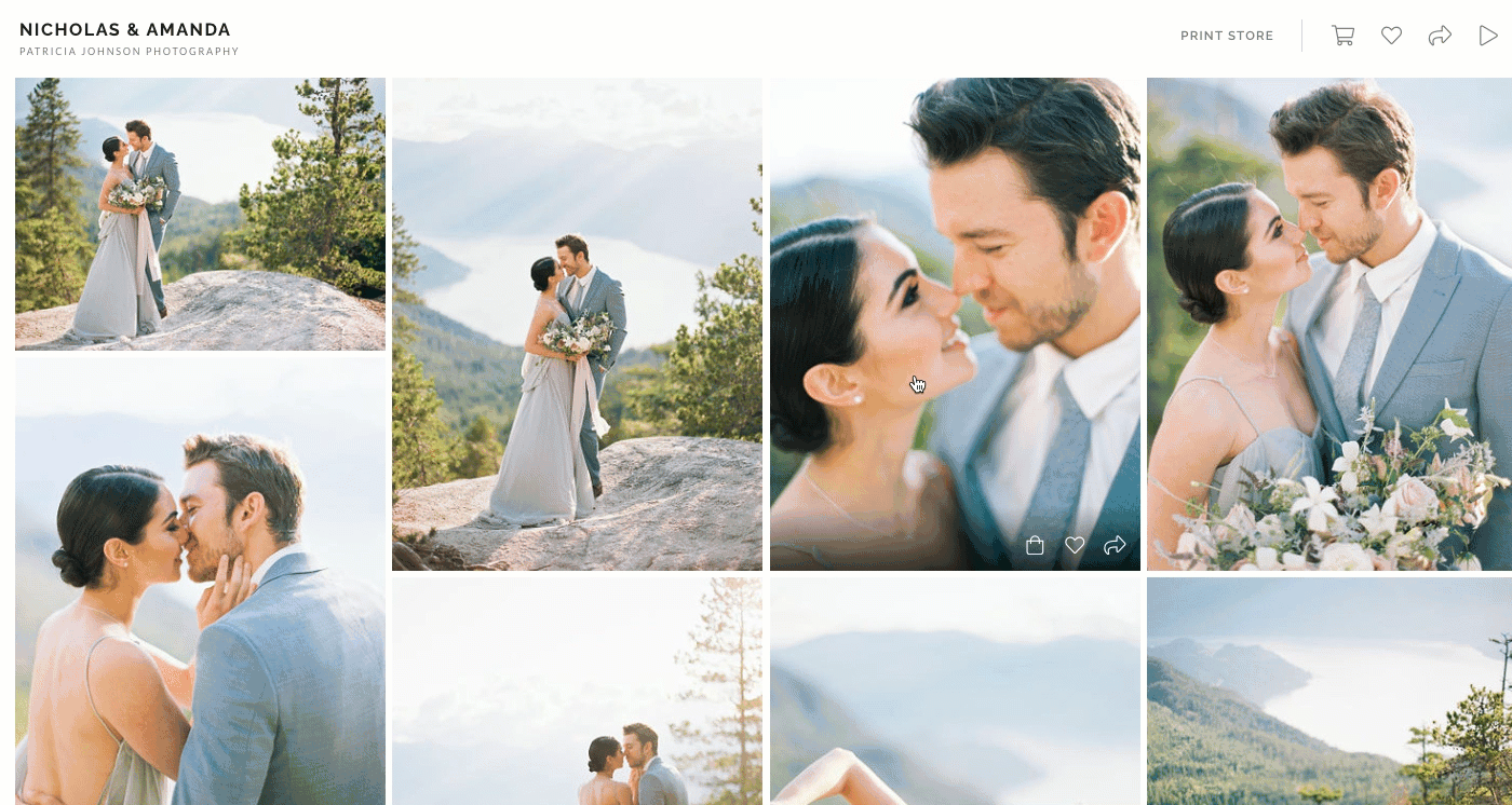 Digital Download Packages GIF.gif