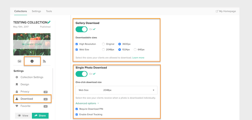 What File Sizes Can My Client Download Pixieset Help Center