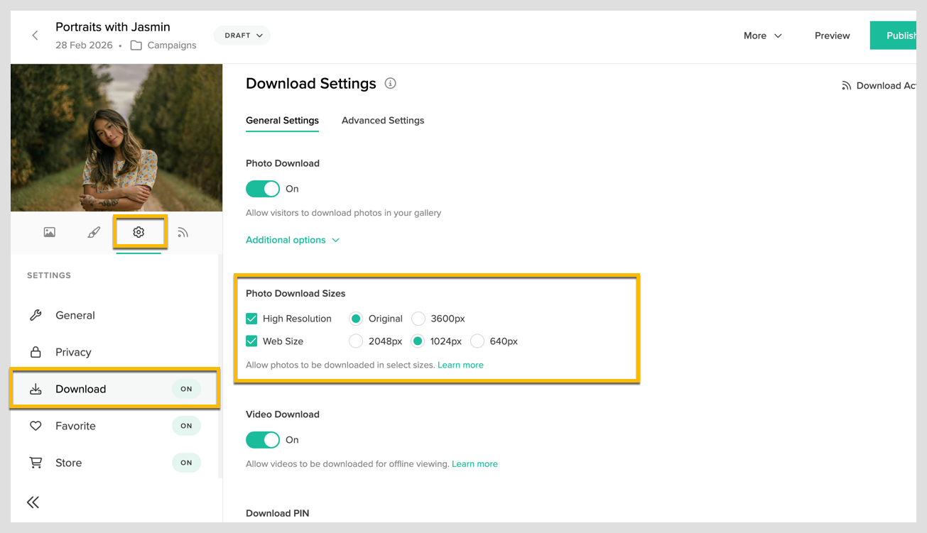 Collection download settings3.png