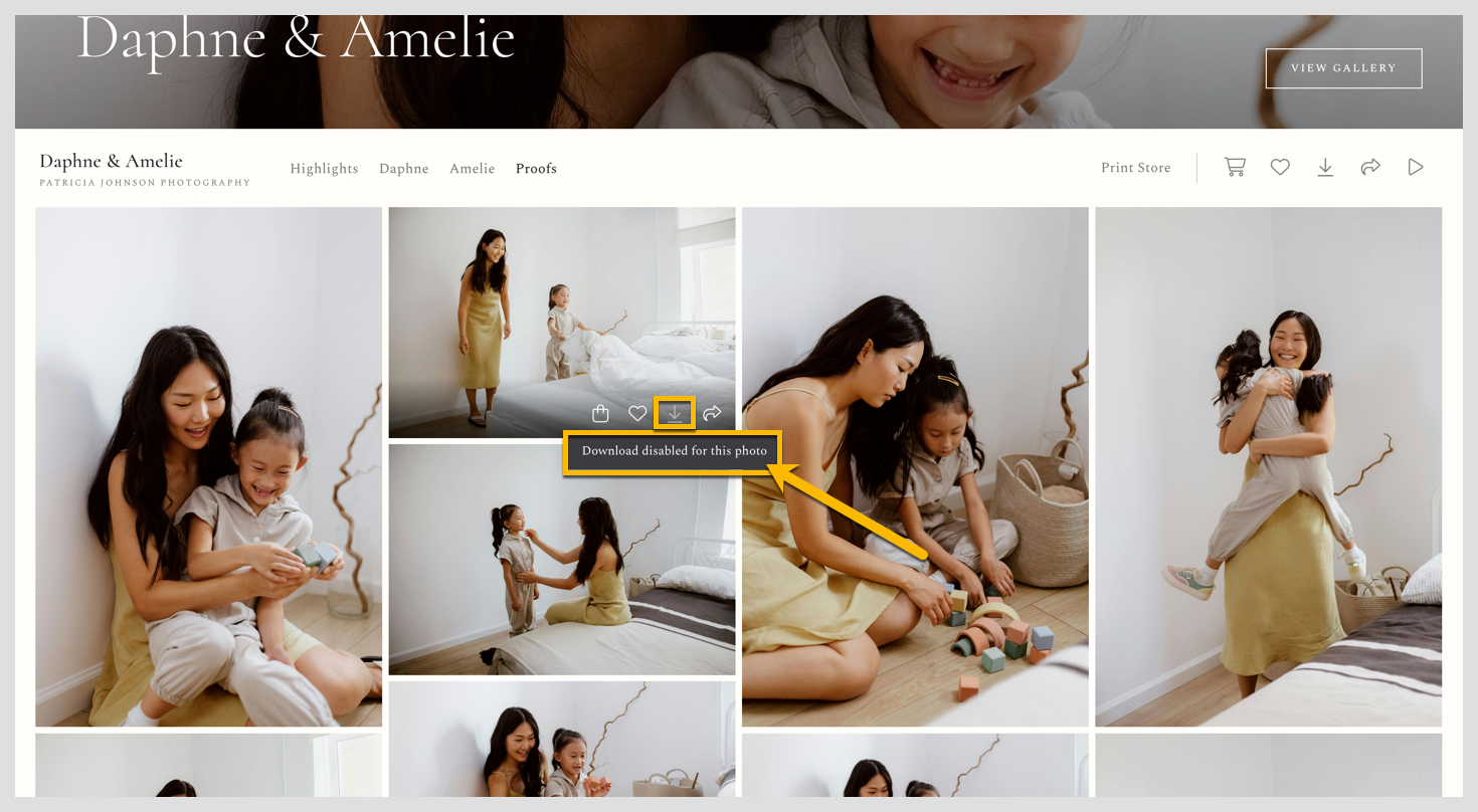 Limiting free downloads and other restrictions7.png