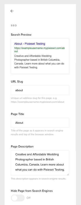 SEO_Page_Settings.png