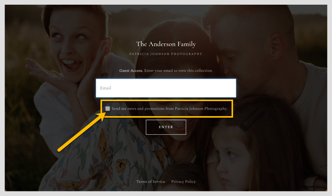 Email Campaigns1-1.png