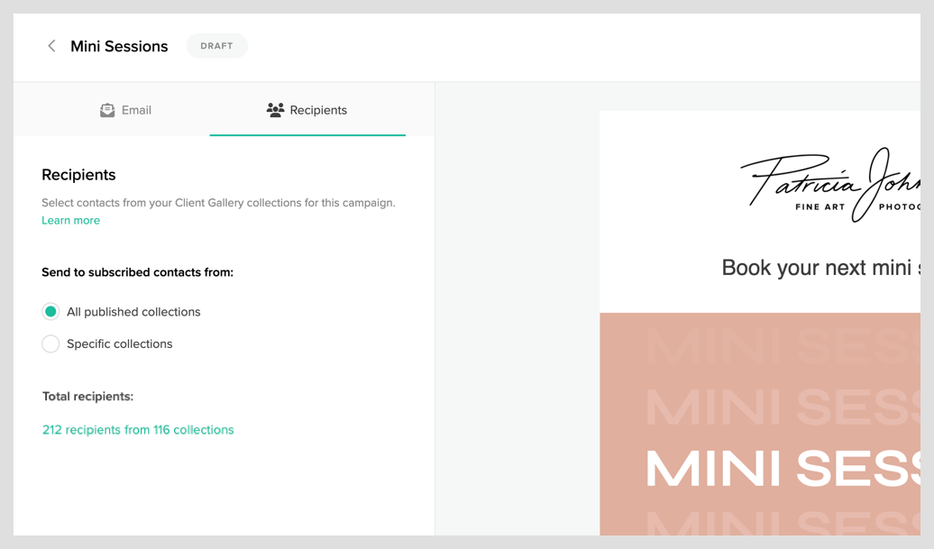 Email Campaigns1-3.png