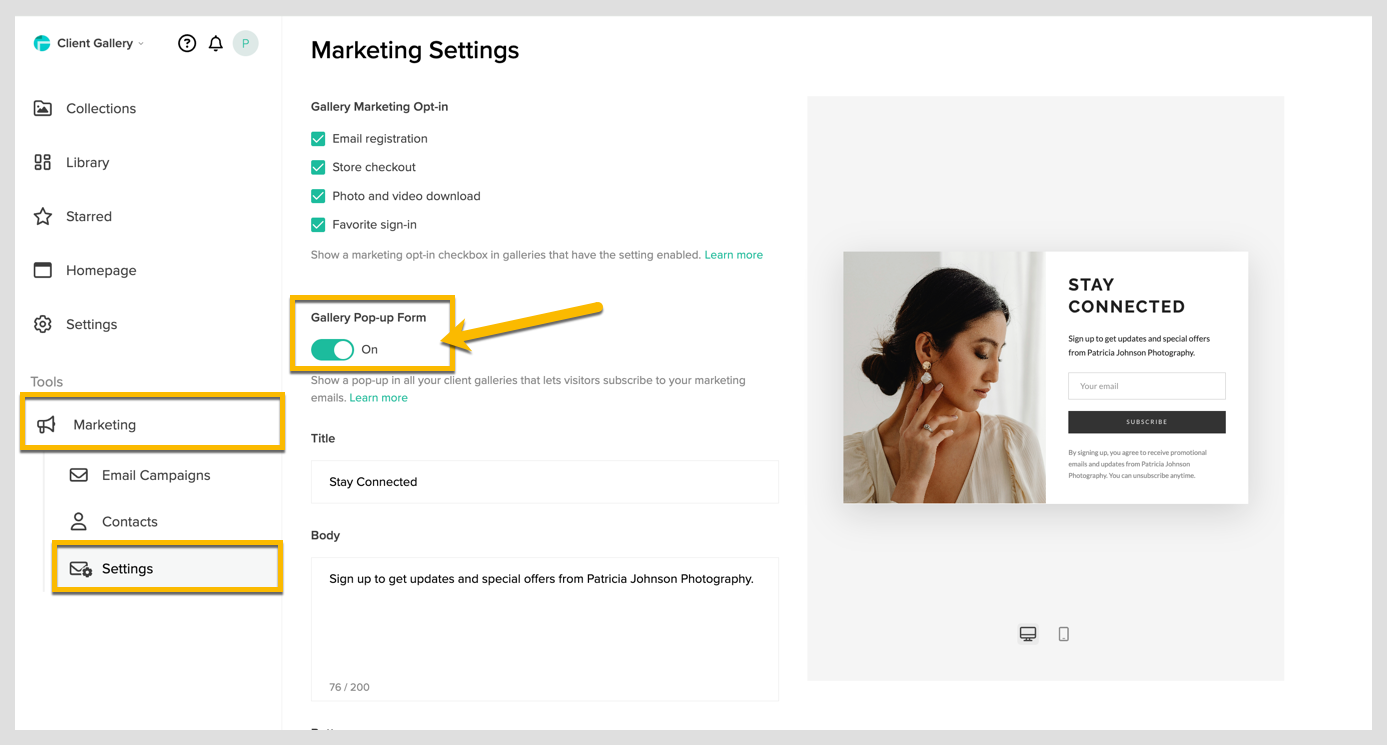 Marketing Audience.1.png
