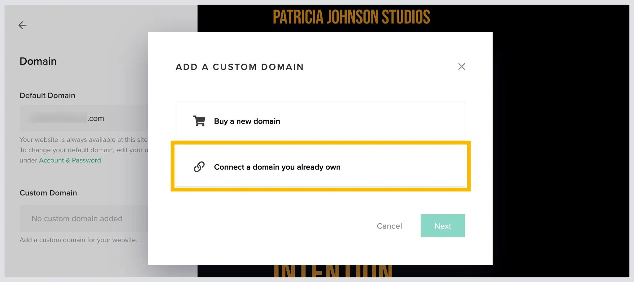 CustomDomainPixiesetWebsite2.png