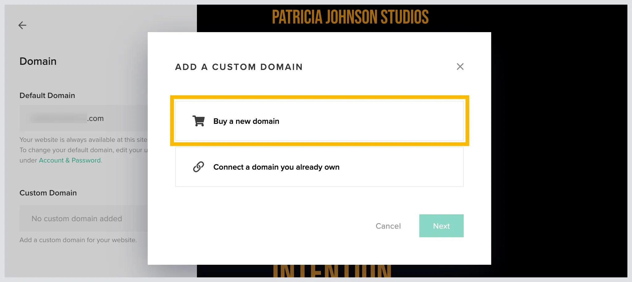CustomDomainPixiesetWebsite1.png