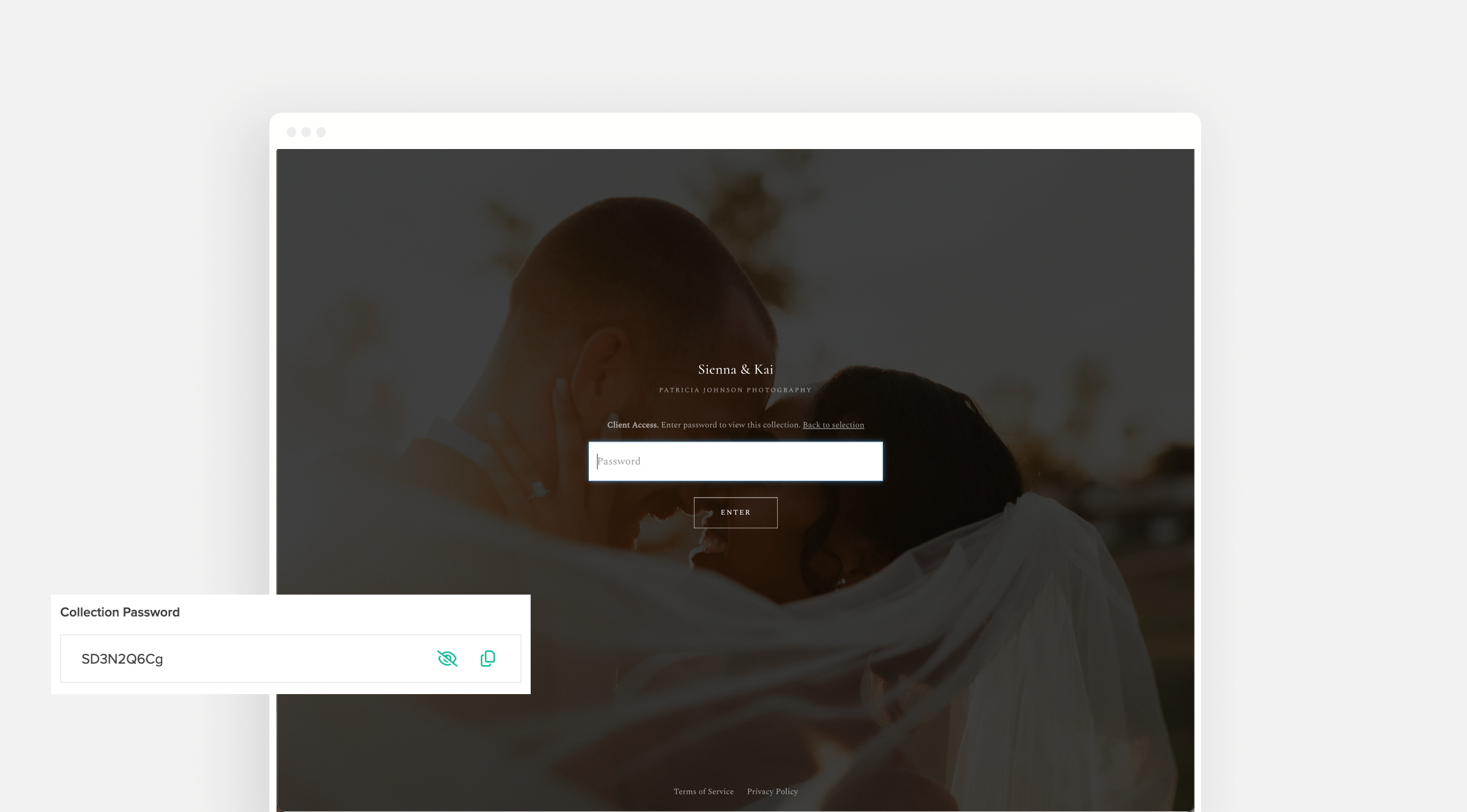 Privacy options for Client Gallery2.png