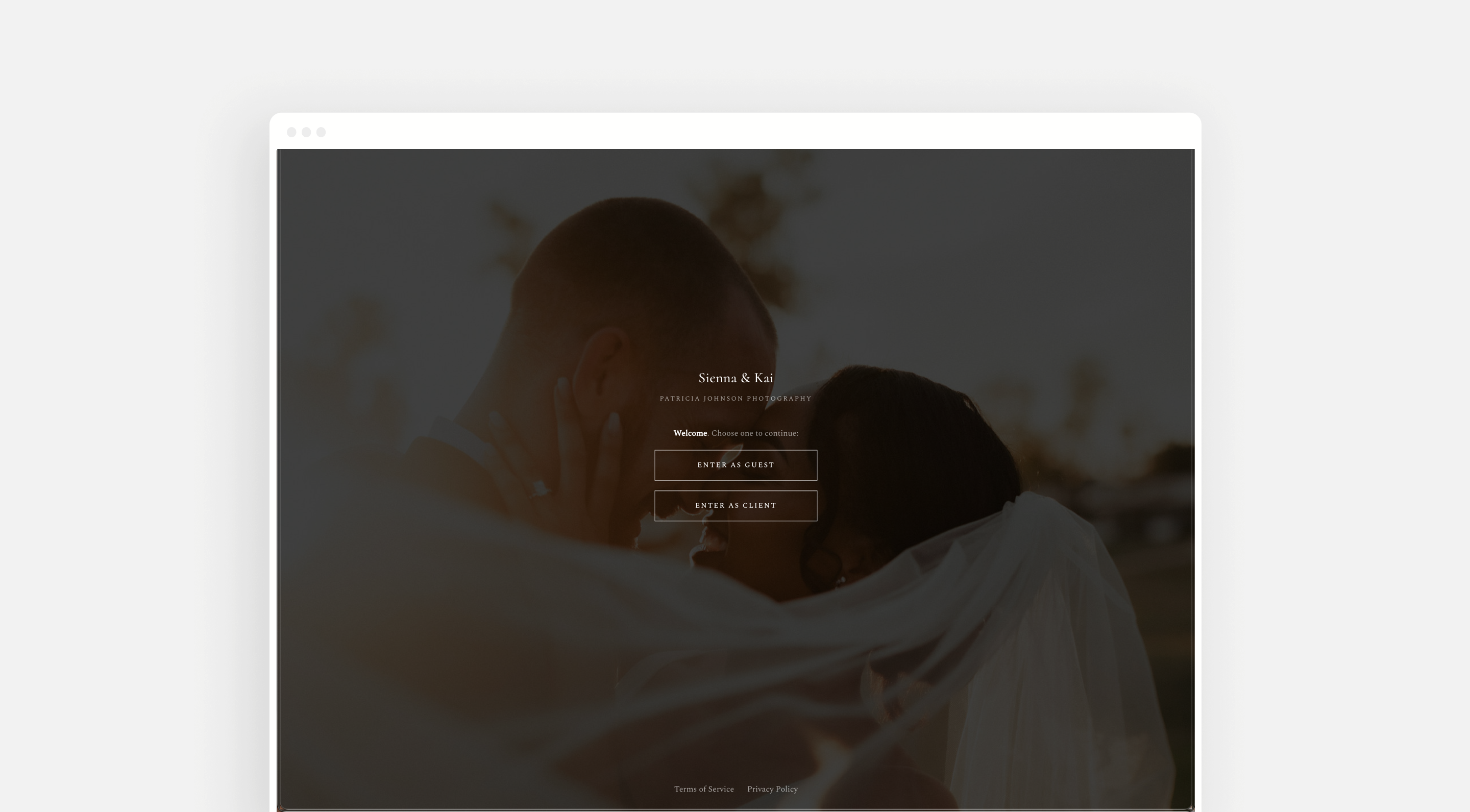 Privacy options for Client Gallery3.png