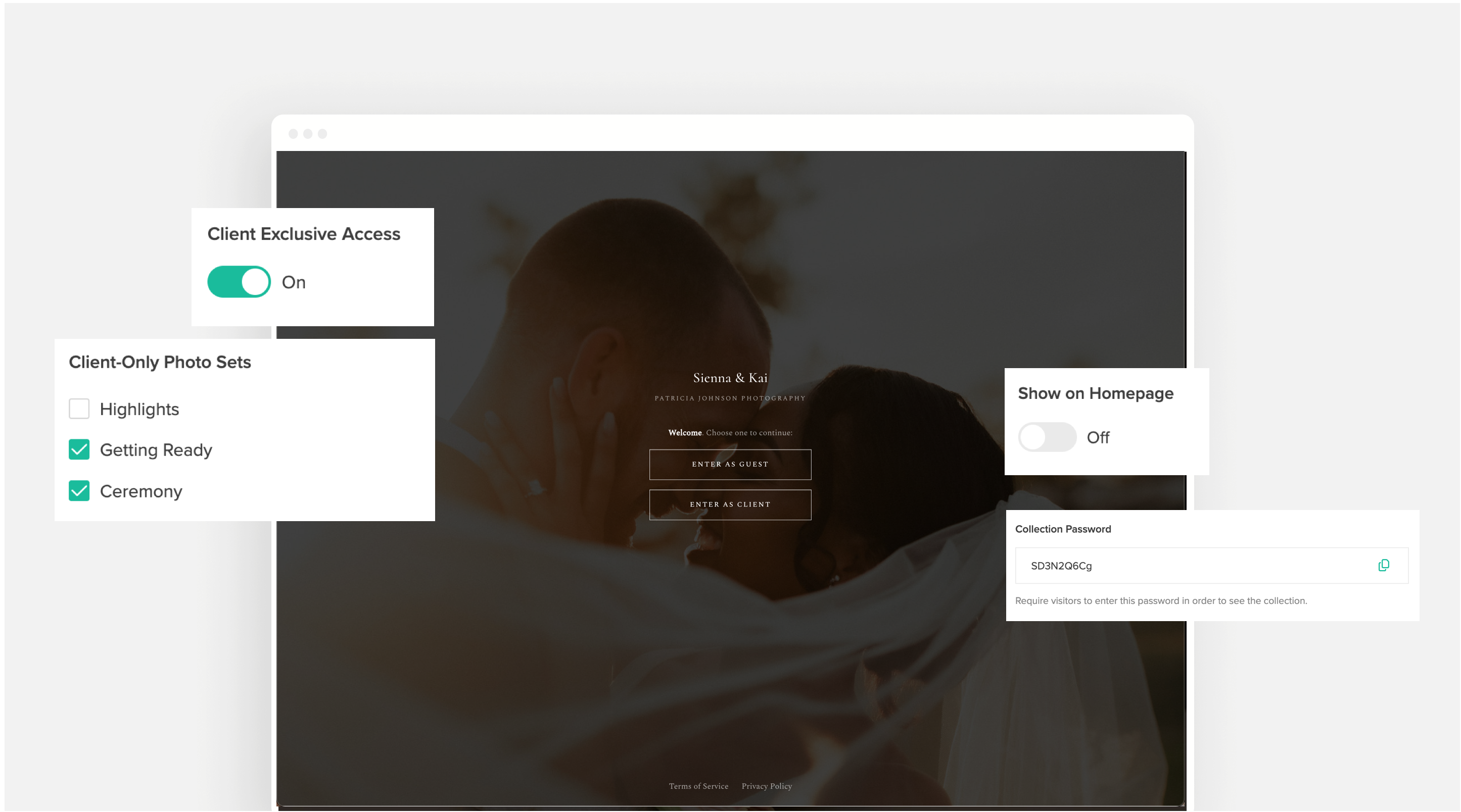 Privacy options for Client Gallery.png