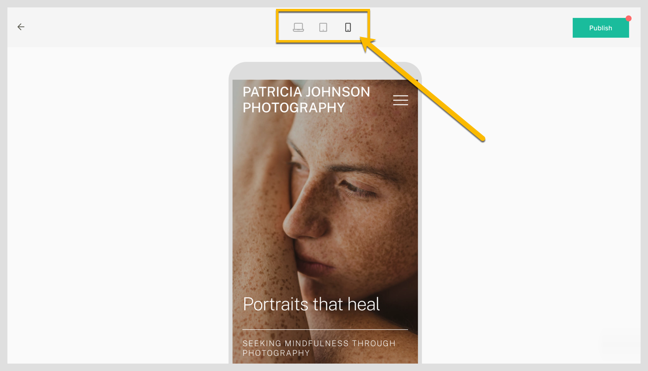 Previewing your website2.png