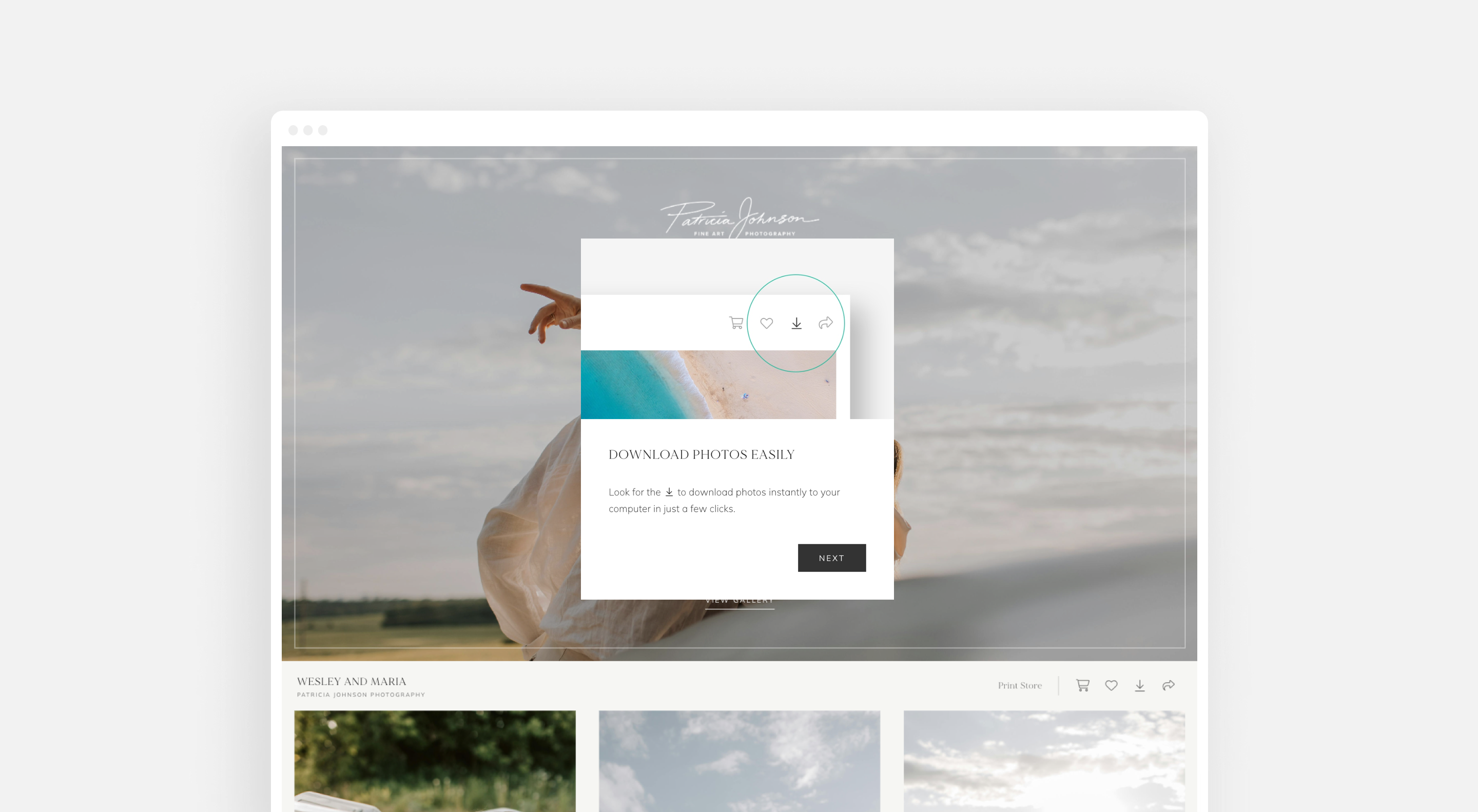 Guiding clients through a collection with Gallery Assist1.png