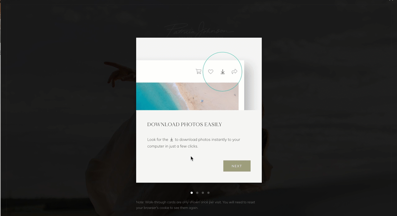 Guiding clients through a collection with Gallery Assist3.gif