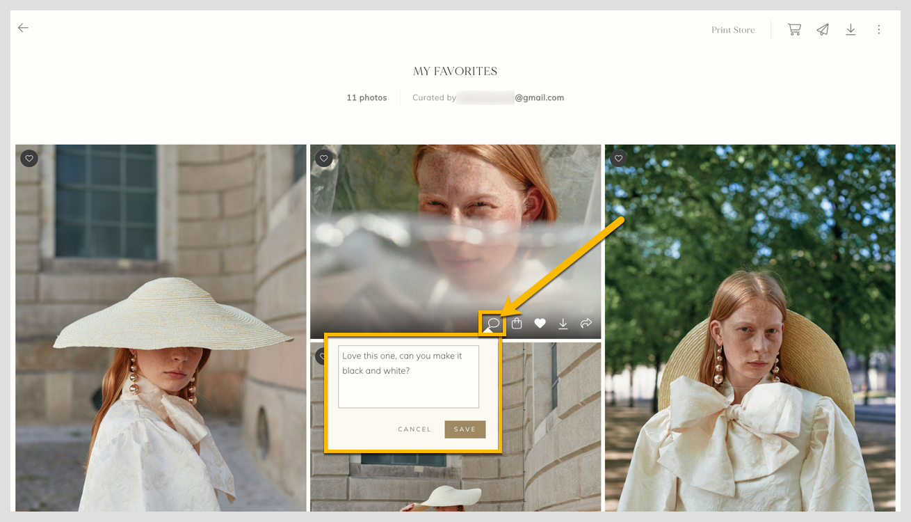 Allowing clients to add notes on favorite photos2.png